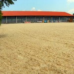 Sanierter Außenreitplatz nachher