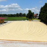 Neuer Außenreitplatz