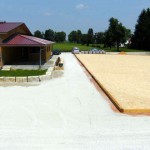 Neuer Reitplatz mit Gestaltung der Außenanlage