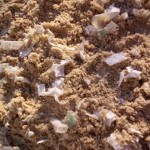 Tretschicht mit Textil