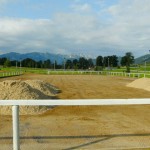Sanierung Außenreitplatz mit Matten