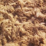Tretschicht mit Fasern